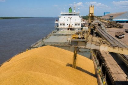 Soja do Piauí no Mercado Internacional: Como o Cerrado Piauiense Está Redefinindo o Agronegócio Nordestino