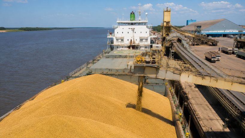 Soja do Piauí no Mercado Internacional: Como o Cerrado Piauiense Está Redefinindo o Agronegócio Nordestino