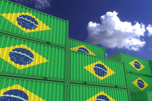 Exportação brasileira: novas exigências no Siscomex mudam documentação para produtos de origem animal